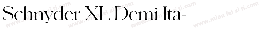 Schnyder XL Demi Ita字体转换